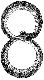 Ouroboros Above and Below